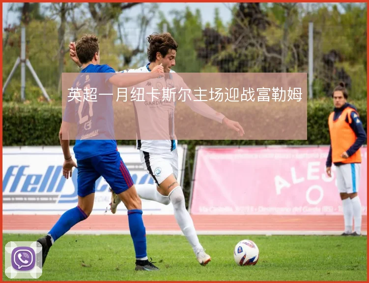 英超一月纽卡斯尔主场迎战富勒姆